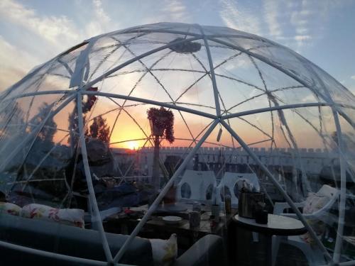 ガーデンイグルーのドームテント